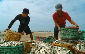 Giao diện game bắn cá online với nhiều loài cá bơi trong khung cảnh đại dương